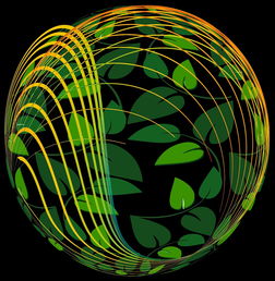 爱游戏app-未来青训：生态系统构建助推足球强国梦，足球生态系统建设